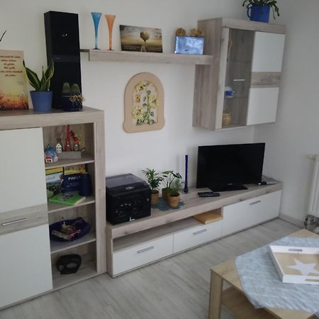 Ferienhaus Johanna & Ferienwohnung Thum Weischlitz エクステリア 写真