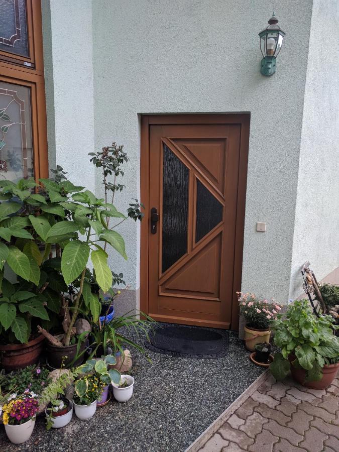 Ferienhaus Johanna & Ferienwohnung Thum Weischlitz エクステリア 写真
