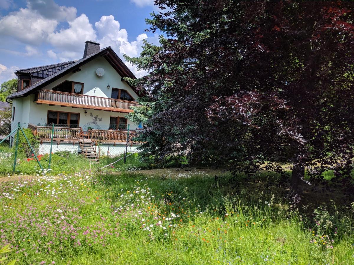 Ferienhaus Johanna & Ferienwohnung Thum Weischlitz エクステリア 写真