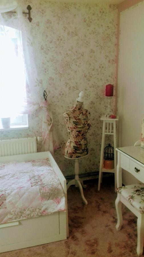 Ferienhaus Johanna & Ferienwohnung Thum Weischlitz エクステリア 写真