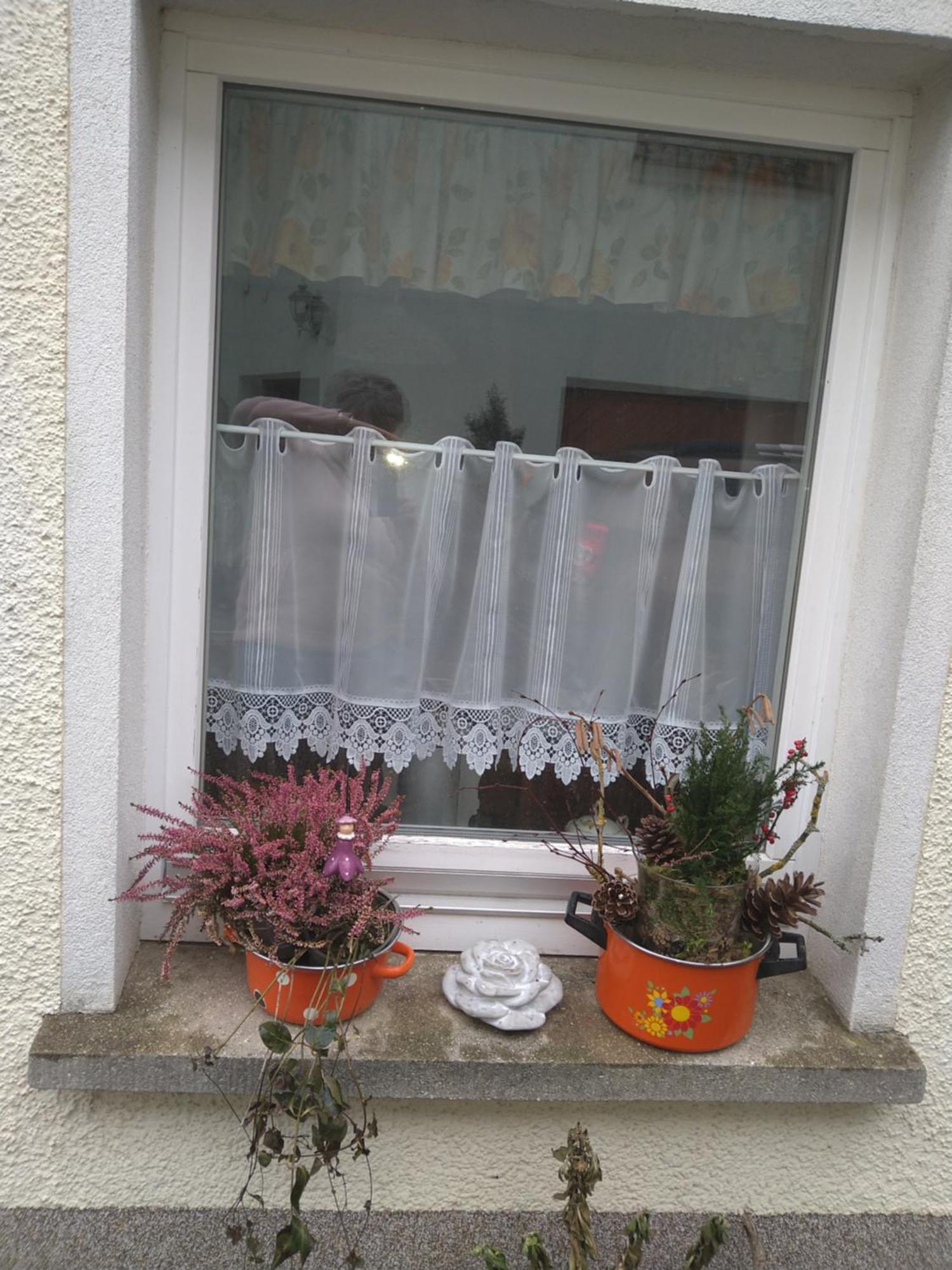 Ferienhaus Johanna & Ferienwohnung Thum Weischlitz 部屋 写真
